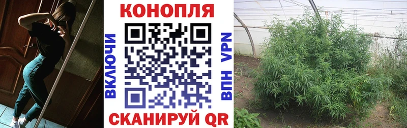 Купить  Верхняя Пышма  Бошки марихуана VHQ 